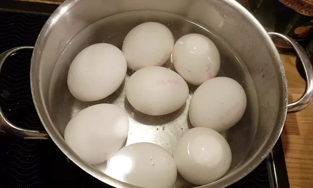 вареные яйца