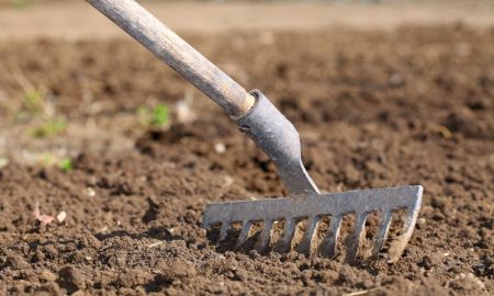 работа на даче