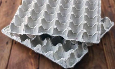 яичный лоток