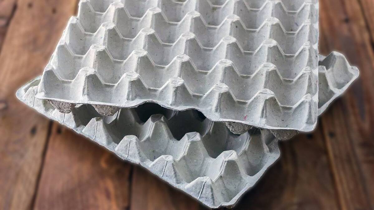 яичный лоток