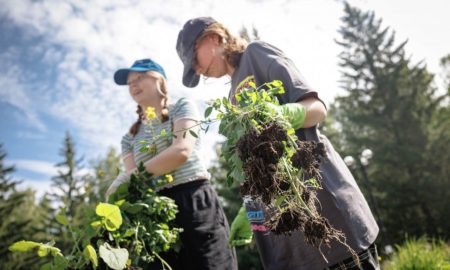 подростки работают летом