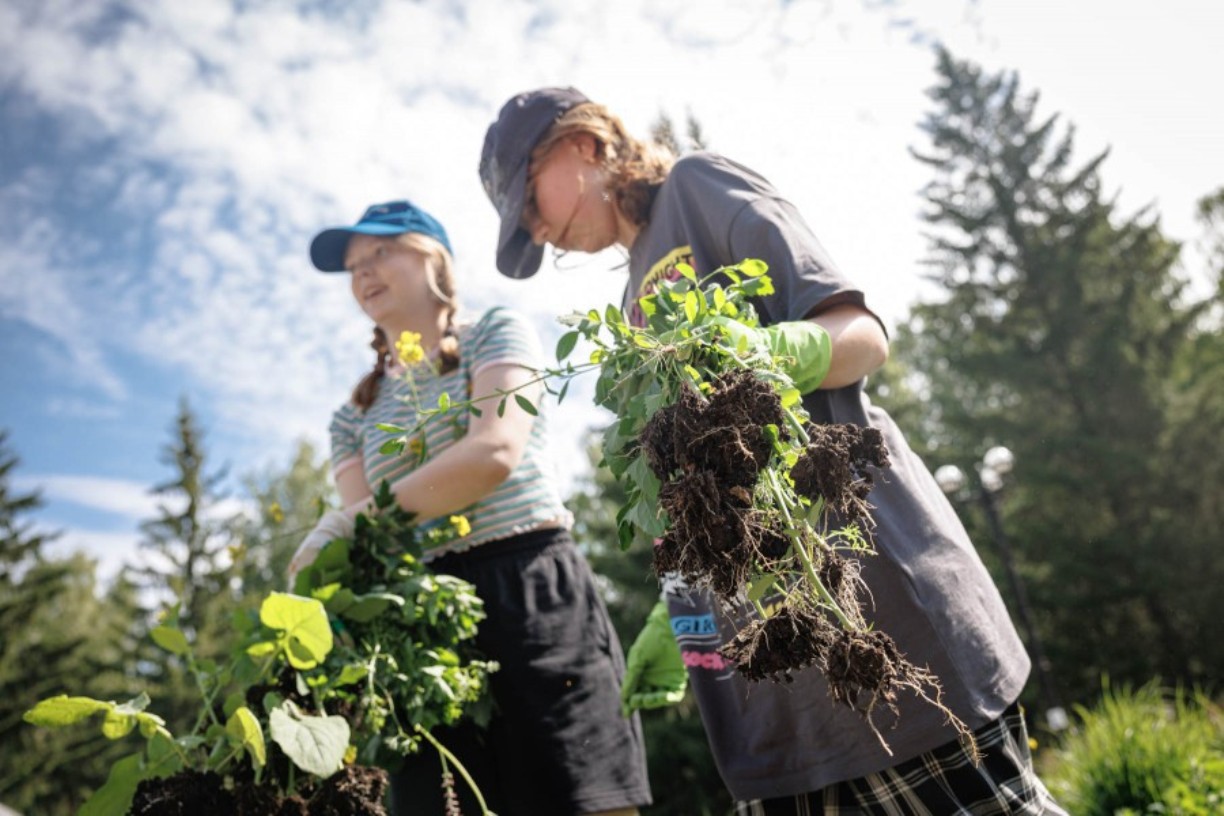 подростки работают летом