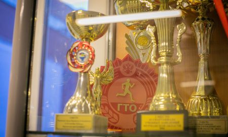 Кубки фестиваля ГТО
