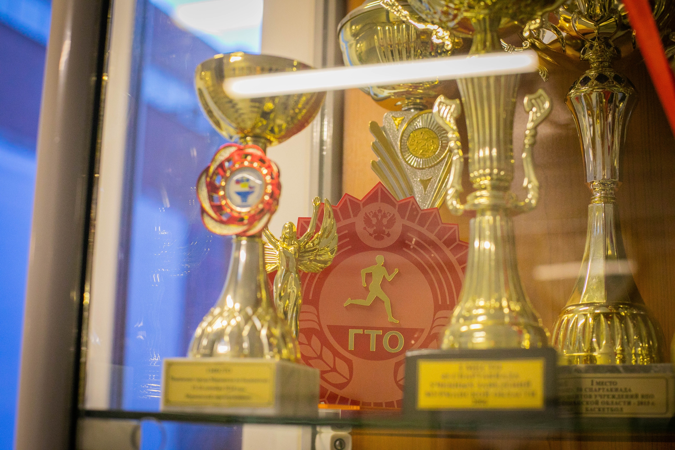 Кубки фестиваля ГТО