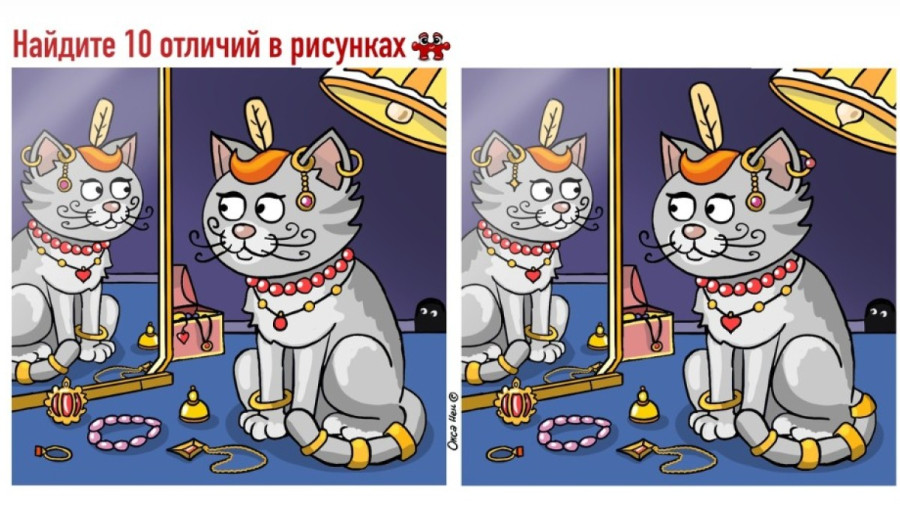 котик смотрит в зеркало