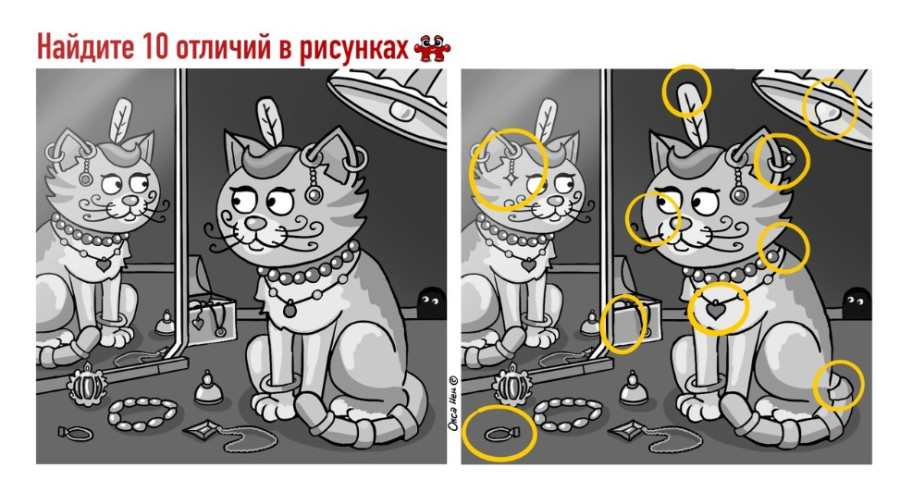 отличия кошек в зеркале