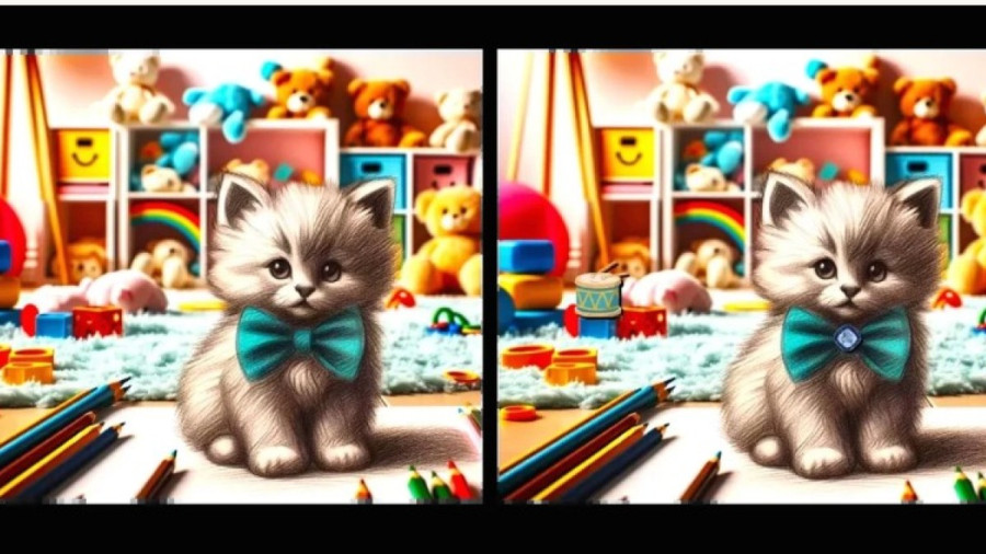 котик сидит в комнате