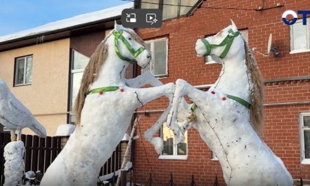 Фото: Скришот видео ОТВ