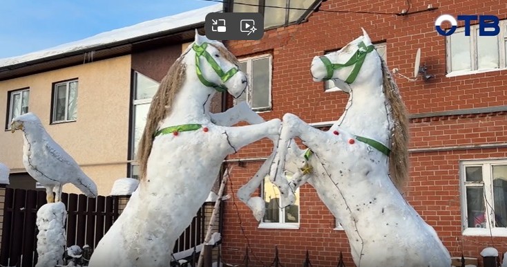 Фото: Скришот видео ОТВ