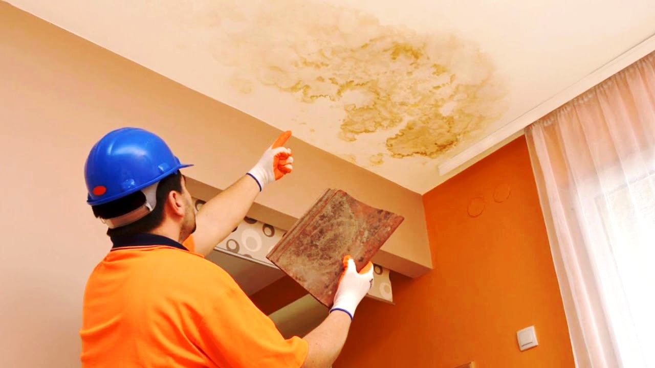 пятна на потолке