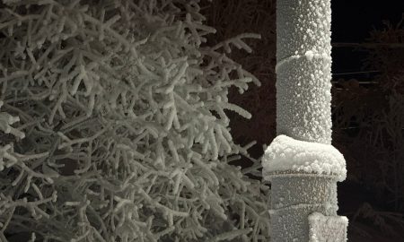 иней на столбе и деревьях