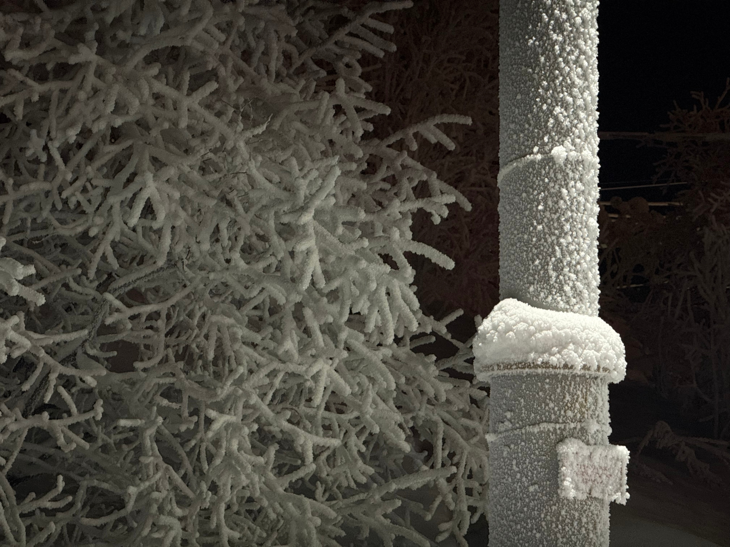 иней на столбе и деревьях