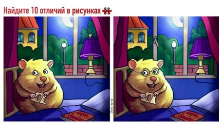 мышонок сидит с сыром