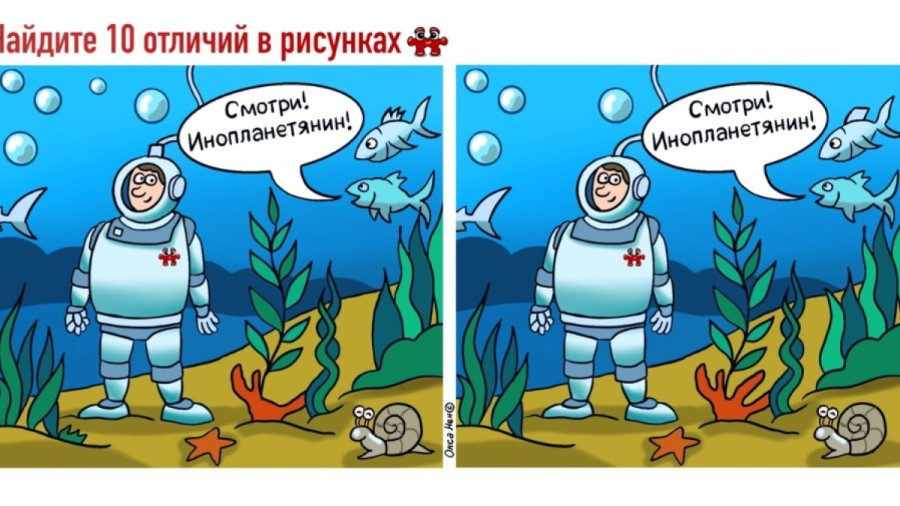 морское дно с рыбами