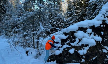 Поиск Натальи