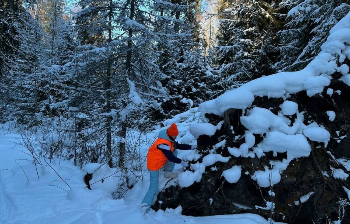 Поиск Натальи