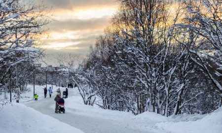 Люди гуляют в парке