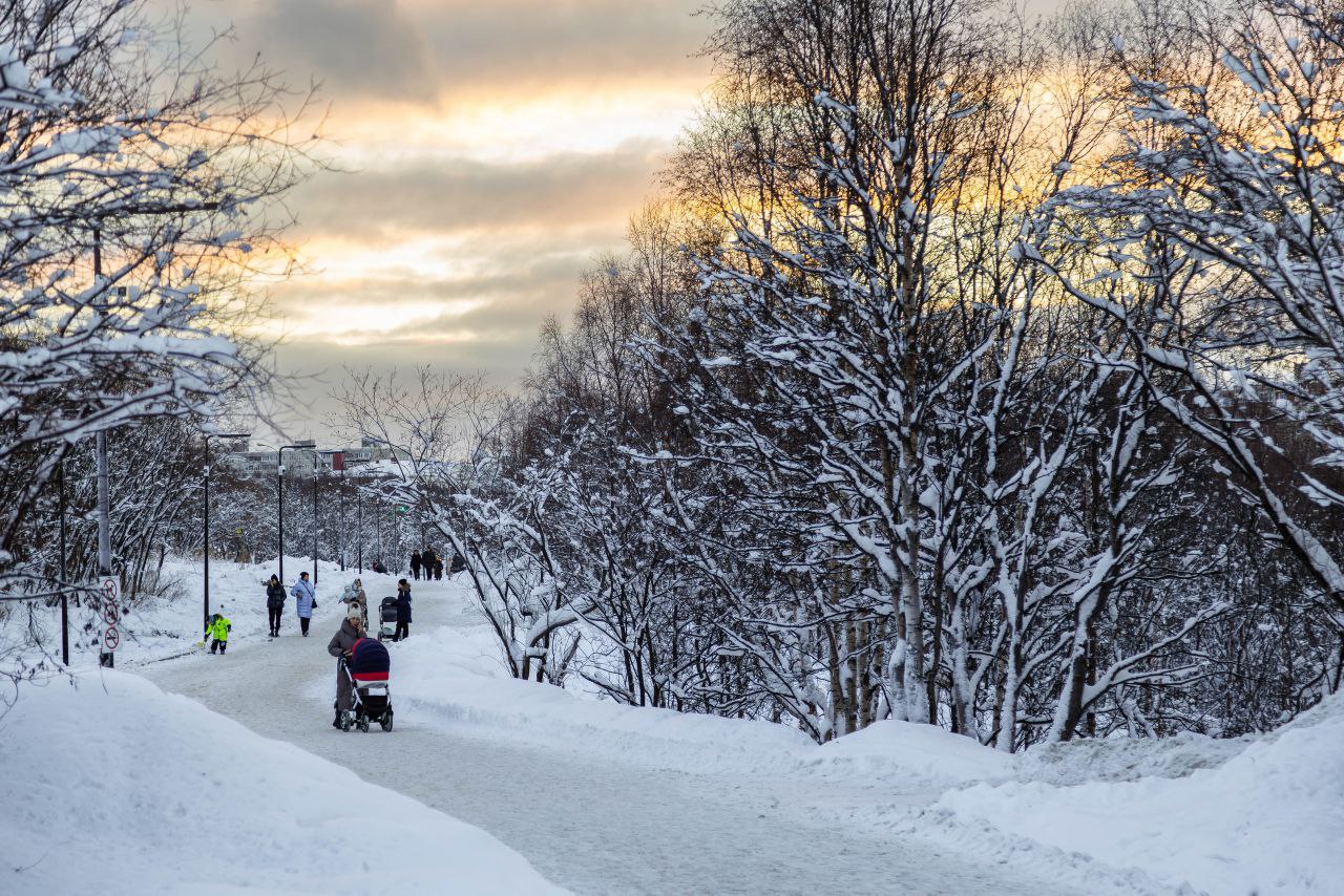 Люди гуляют в парке