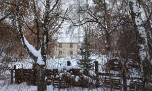 Почти что лес, в который сегодня нельзя