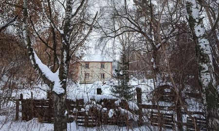 Почти что лес, в который сегодня нельзя