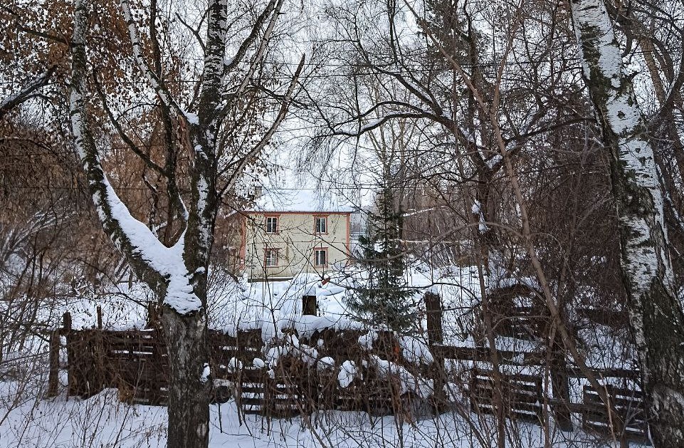 Почти что лес, в который сегодня нельзя