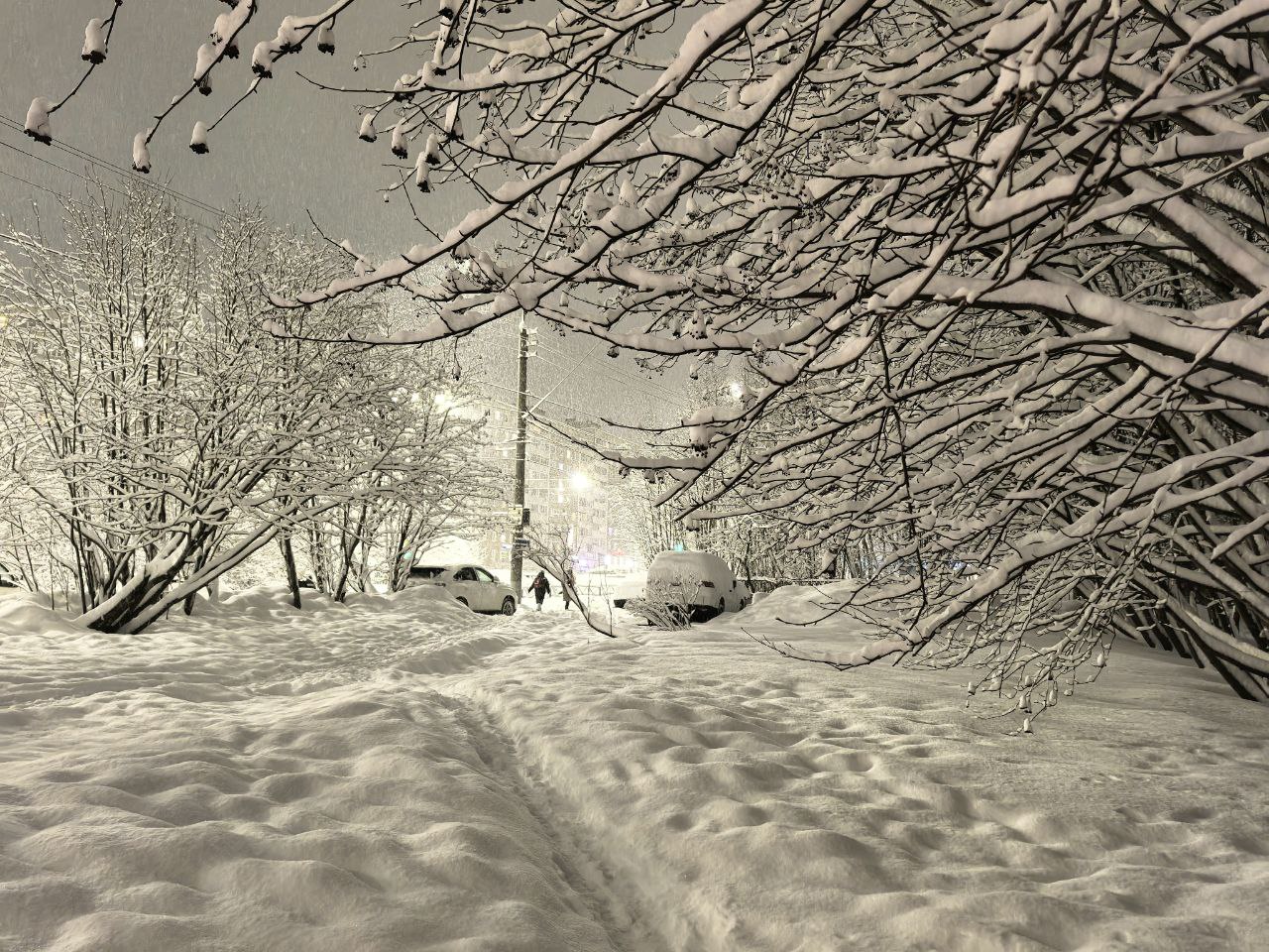 Улица засыпана снегом