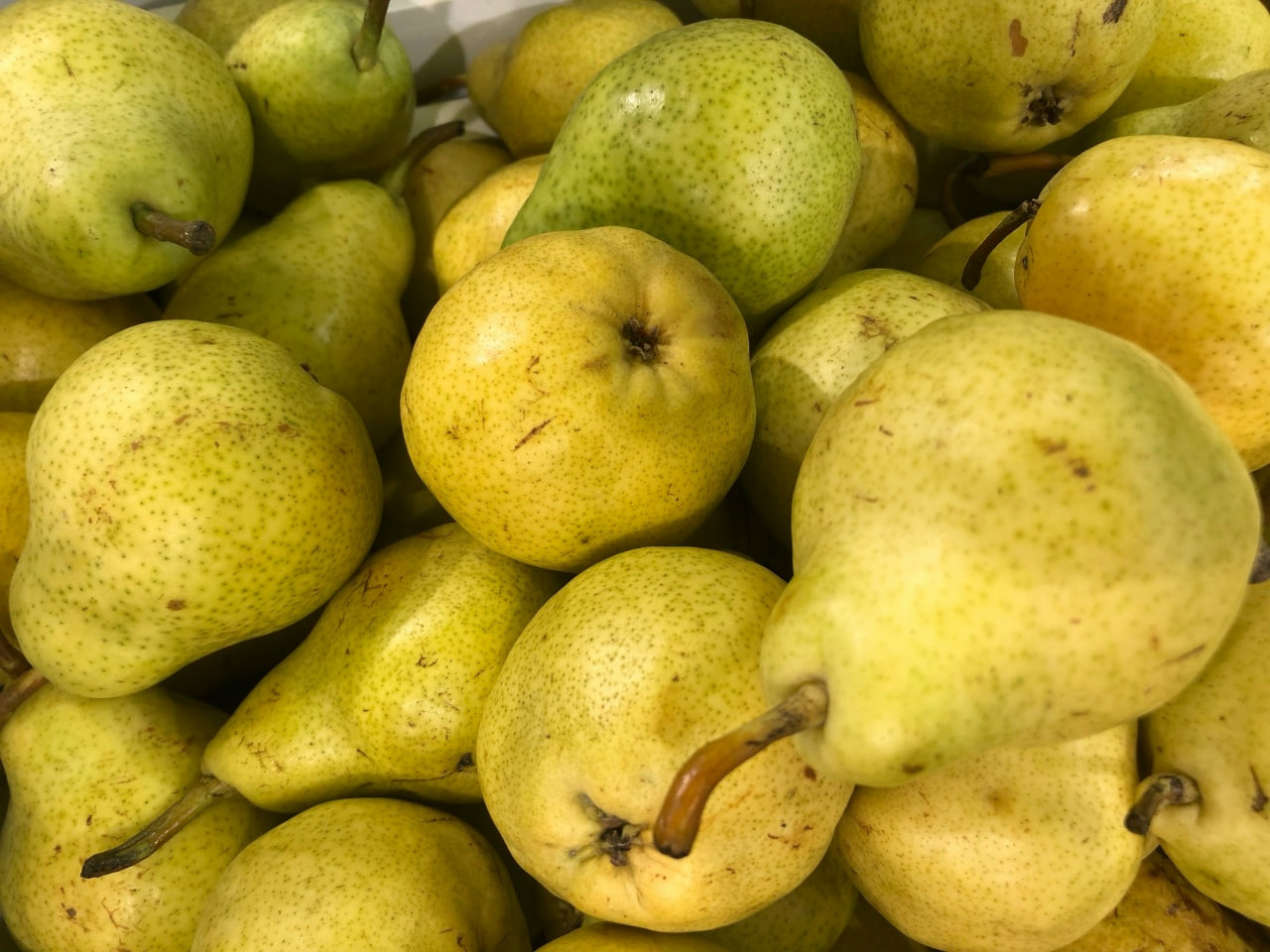 Груши