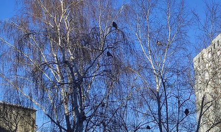 В Екатеринбурге потеплело