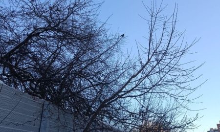 В Екатеринбурге оттепель