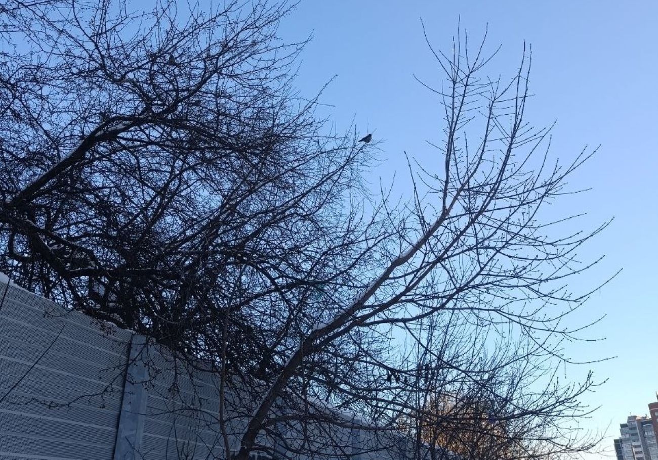 Улица Екатеринбурга