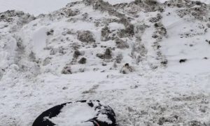 Фото с места трагедии