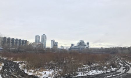 В Екатеринбурге сильный ветер