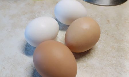 яйца на столе