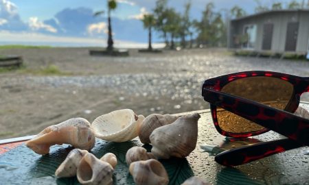 Ракушки на фоне моря