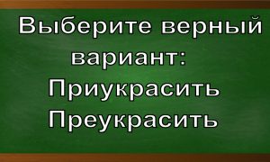 как правильно писать приукрасить