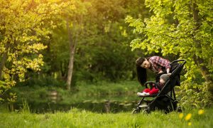 Прогулка в лесу