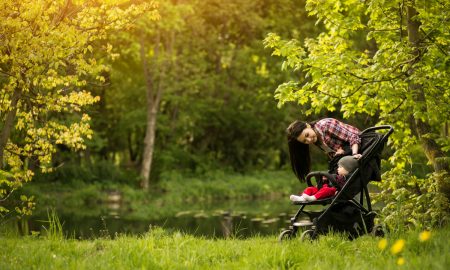 Прогулка в лесу