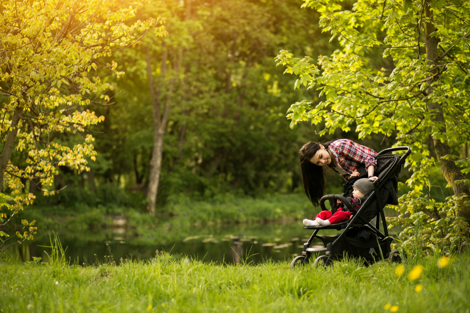 Прогулка в лесу