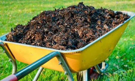 Навоз на даче