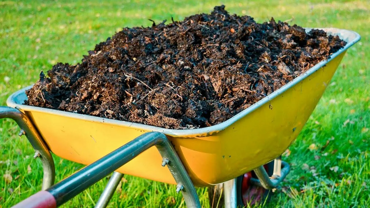 Навоз на даче