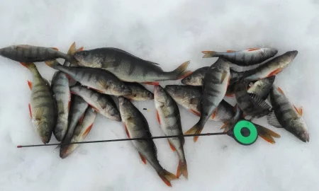 мормышка на рыбу