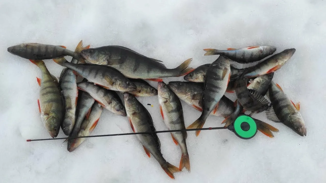 мормышка на рыбу