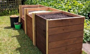 компостная куча