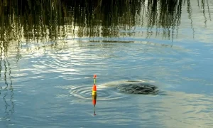 поплавок на воде