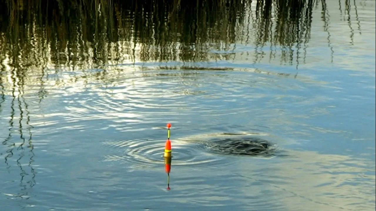 поплавок на воде