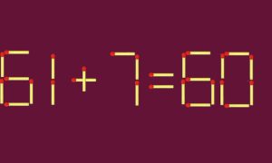 Из спичек дан пример