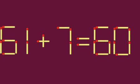 Из спичек дан пример