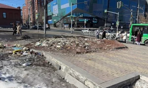 Мусор на дороге