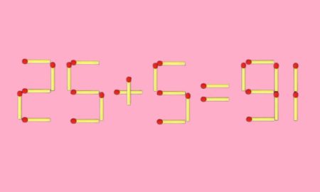 Из спичек собран пример