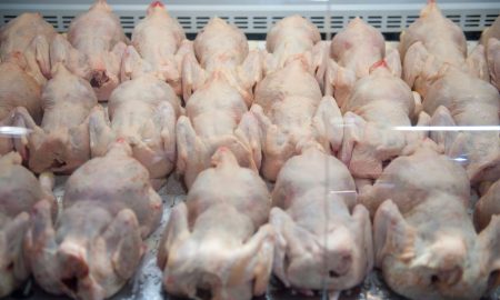 Курица лежит на прилавке